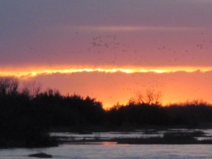 Platte River Nebraska 071