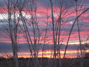 Platte River Nebraska 078