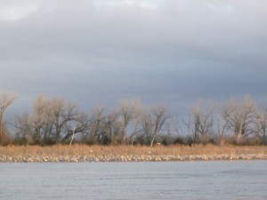 Platte River Nebraska 093