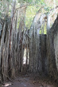 Verecruz day trips 040