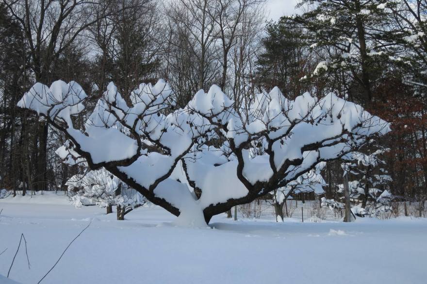 11251882_10205601105926674_2089422319030907956_o