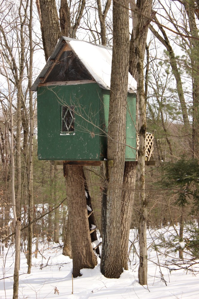 FIX IT AND THEY WILL COME and some thoughts on parenting introverted&nbsp;children.